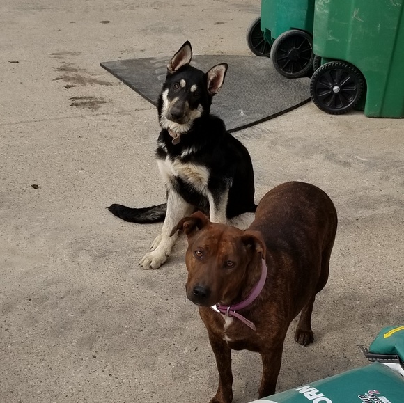 Meet your Posher, Autumn - Picture 3 of 4